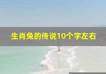 生肖兔的传说10个字左右