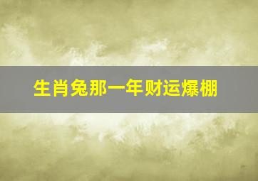 生肖兔那一年财运爆棚