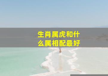 生肖属虎和什么属相配最好