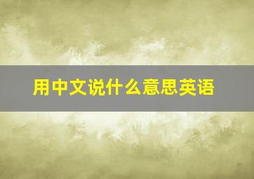 用中文说什么意思英语