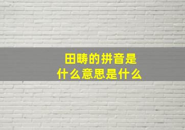 田畴的拼音是什么意思是什么