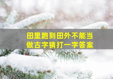 田里跑到田外不能当做古字猜打一字答案