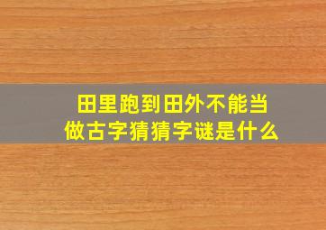 田里跑到田外不能当做古字猜猜字谜是什么