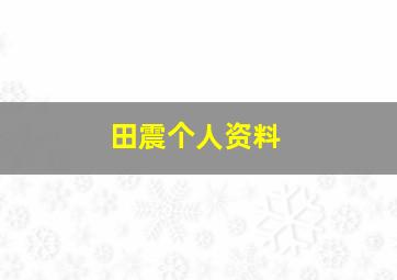 田震个人资料