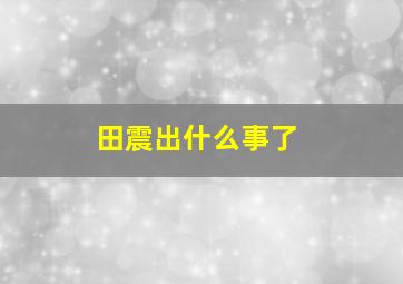 田震出什么事了