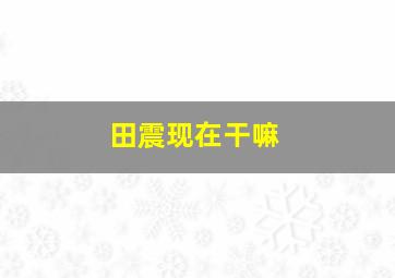 田震现在干嘛