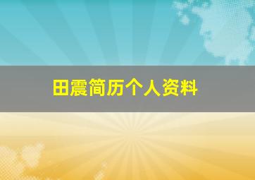 田震简历个人资料