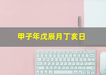 甲子年戊辰月丁亥日