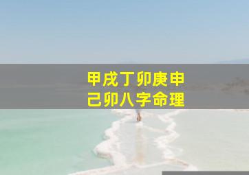 甲戌丁卯庚申己卯八字命理