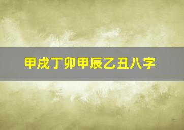 甲戌丁卯甲辰乙丑八字