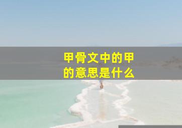 甲骨文中的甲的意思是什么