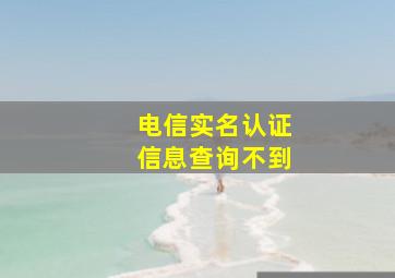 电信实名认证信息查询不到