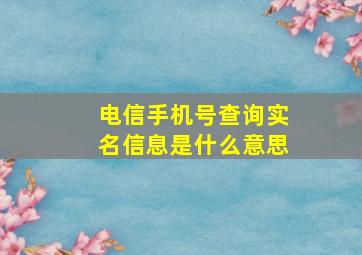 电信手机号查询实名信息是什么意思