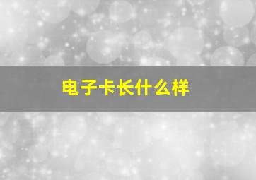 电子卡长什么样