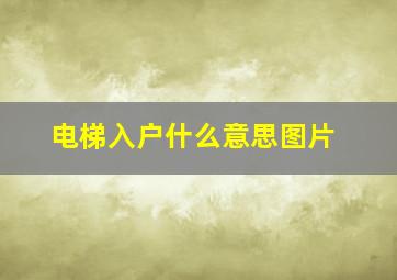 电梯入户什么意思图片