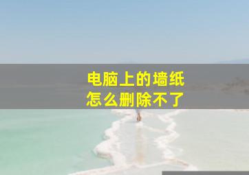 电脑上的墙纸怎么删除不了