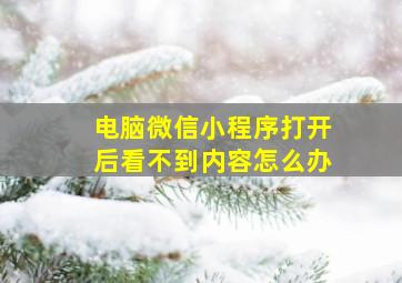 电脑微信小程序打开后看不到内容怎么办