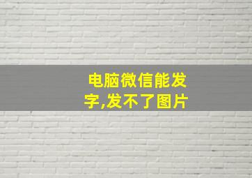 电脑微信能发字,发不了图片