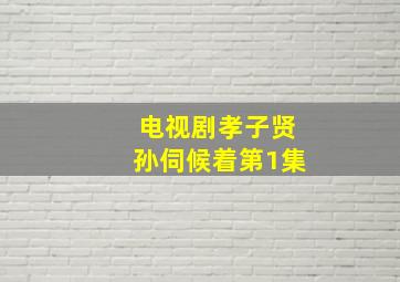 电视剧孝子贤孙伺候着第1集