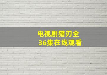 电视剧猎刃全36集在线观看