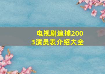 电视剧追捕2003演员表介绍大全