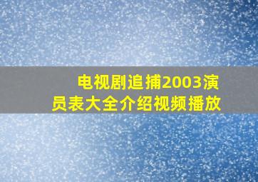 电视剧追捕2003演员表大全介绍视频播放