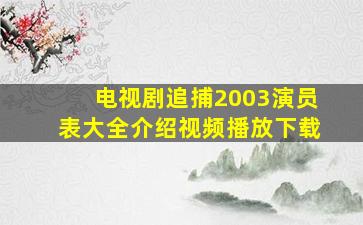 电视剧追捕2003演员表大全介绍视频播放下载