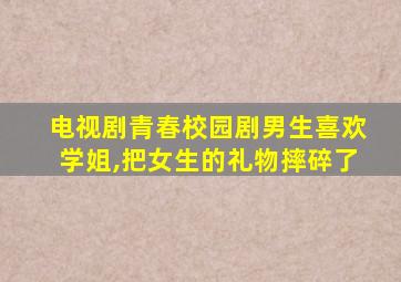 电视剧青春校园剧男生喜欢学姐,把女生的礼物摔碎了