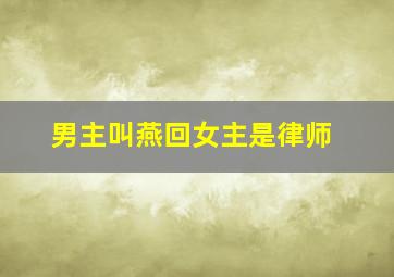 男主叫燕回女主是律师