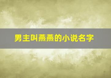 男主叫燕燕的小说名字