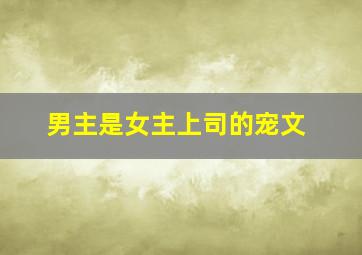 男主是女主上司的宠文