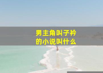 男主角叫子衿的小说叫什么