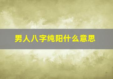 男人八字纯阳什么意思