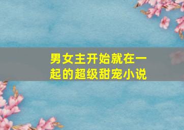 男女主开始就在一起的超级甜宠小说