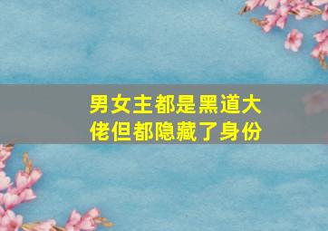 男女主都是黑道大佬但都隐藏了身份