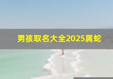 男孩取名大全2025属蛇