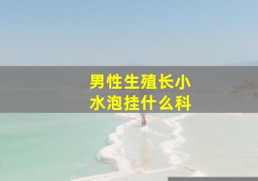 男性生殖长小水泡挂什么科