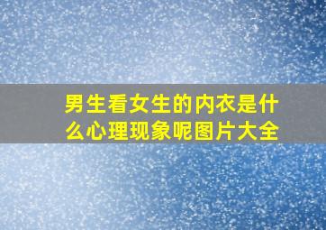 男生看女生的内衣是什么心理现象呢图片大全