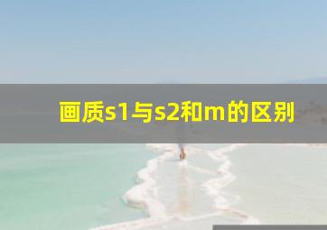 画质s1与s2和m的区别