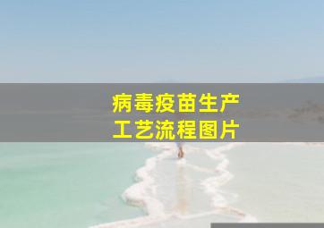 病毒疫苗生产工艺流程图片