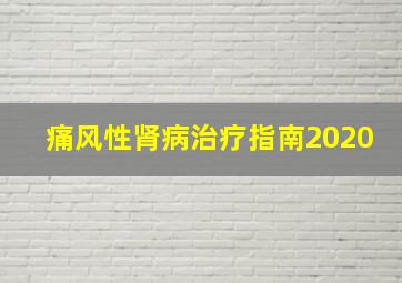 痛风性肾病治疗指南2020