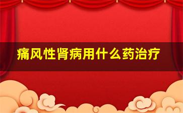 痛风性肾病用什么药治疗