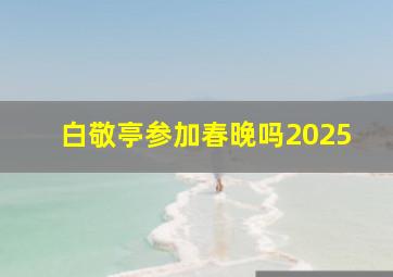 白敬亭参加春晚吗2025