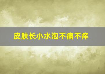 皮肤长小水泡不痛不痒