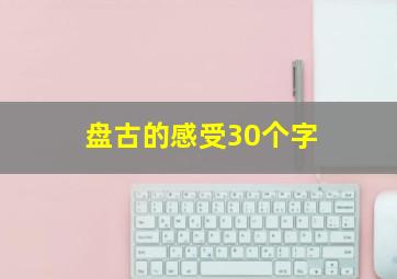 盘古的感受30个字