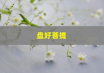 盘好菩提