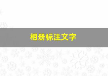 相册标注文字