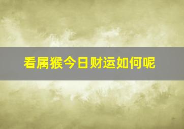 看属猴今日财运如何呢