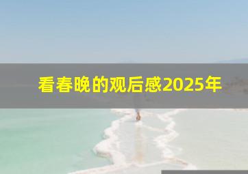 看春晚的观后感2025年