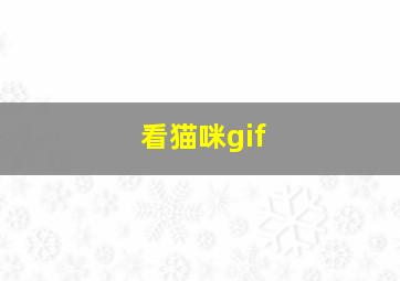 看猫咪gif